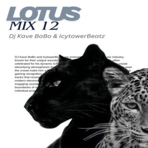 DJ Kave Bobo   Lotus mix 12 300x300 - دانلود پادکست جدید دیجی کاوه بوبو به نام لوتس میکس 12